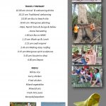 New-Package-Mangrove2